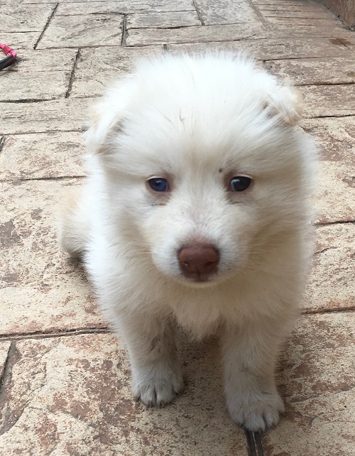 Every weekend: Free 2-Day Weekend Event